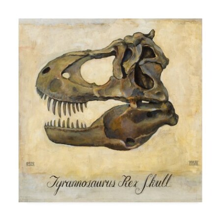 Daniel Patrick Kessler 'Tyrannosaurus Rex Skull' Canvas Art,35x35
